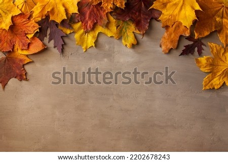 Autumn background made of red, orange and yellow leaves on concrete background. Fall greating card with copy space