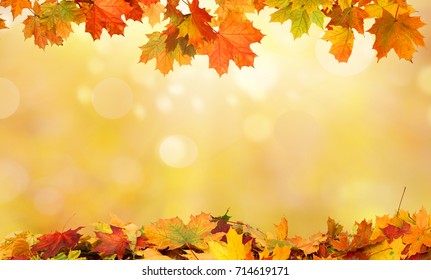 autumn background with maple leaves - Shutterstock ID 714619171