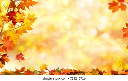 autumn background with maple leaves - Shutterstock ID 723245716
