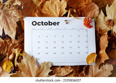 autumn background with October calendar, pyracantha and leaves.
