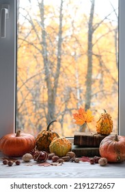 Autumn Background. Pumpkins, Books, Nuts And Autumn Leaves On Window Sill. Symbol Of Fall Season. Home Cozy Composition For Halloween, Thanksgiving Holidays	