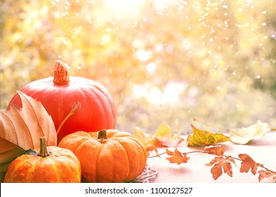 Autumn background with pumpkins and dry leaves on a window board on a rainy day, toned image