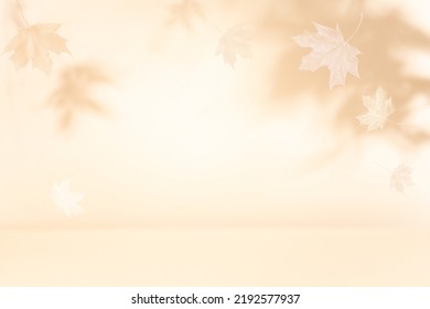 Fondo otoñal con sombra de hojas de arce en una pared  Resumen de la escena otoñal 