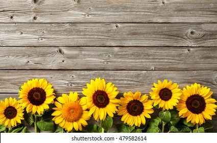 733,109 Sunflower background Images, Stock Photos & Vectors | Shutterstock