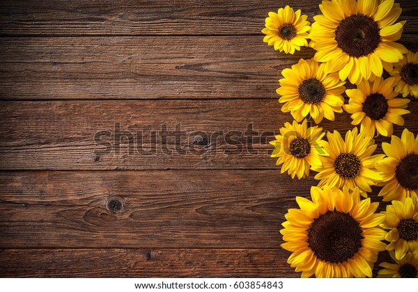 46,089 Sunflower On Wood Images, Stock Photos & Vectors | Shutterstock