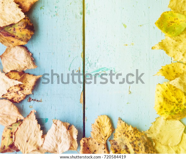 autumn, background, texture,\
frame of yellow leaves on blue wooden background, square\
image