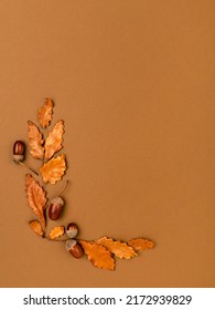 Autumn Background With Various Botanical Stuff Such As Oak Dry Leaves, Acorns. Composition In Warm Tones. Left Border. Thanksgiving Holidays And Autumn Concept. Flat Lay, Copy Space.