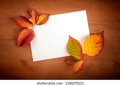 Autumn Background With Vibrant Fall Leaves With A Card, A Design Template For A Flyer, Invitation, Or Gift Card With Copy Space