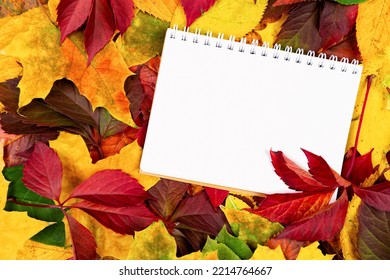 autumn background with white leaf for inscription. place for text. autumn mood - Shutterstock ID 2214764667