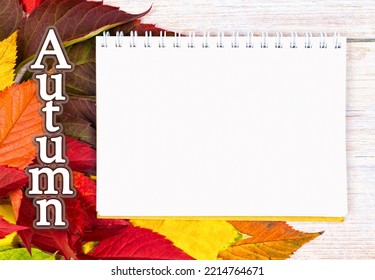 autumn background with a white leaf for the inscription and the inscription autumn - Shutterstock ID 2214764671