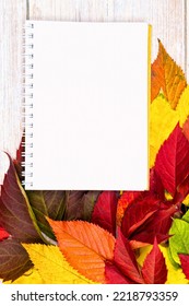 autumn background with white leaf for inscription. place for text. autumn mood - Shutterstock ID 2218793359