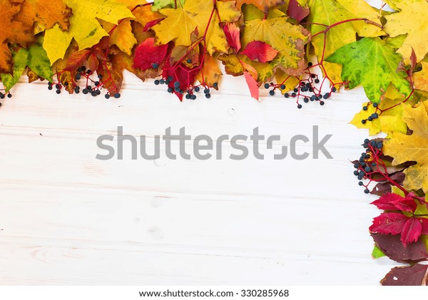 autumn background\
yellow and burgundy colored leaves and berries of wild grapes,\
chestnuts on a wooden\
board