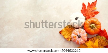 Autumn banner, fall abstract background with colorful leaves, pine cones and pumpkins on bright background.