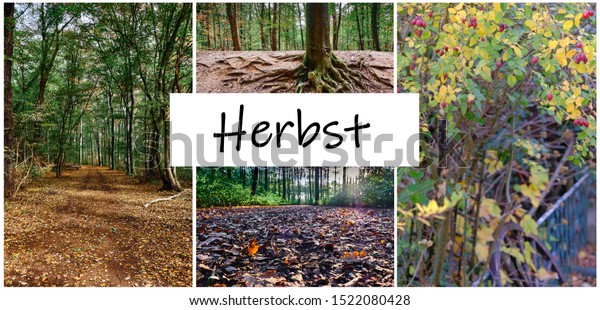 Autumn Banner Inscription German Herbst Natural Stock Photo Edit Now