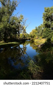 Autumn. Bear Creek Park, Denver, CO