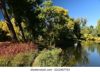 Autumn. Bear Creek Park, Denver, CO