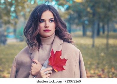 Autumn Beauty. Cute Woman With Fall Leaves In The Autumn Park Outdoors In Sunny Day