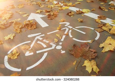 Autumn Bike Park
