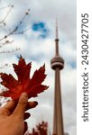 Autumn Bliss: Fall Leaves by CN Tower in Canada