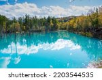 Autumn blue pond reflecting the blue sky
