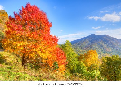 Autumn At Blue Ridge Parkway.