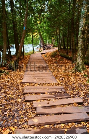Autumn Boardwalk in Dense Forest with Trail Marker - Scenic Pathway Perspective