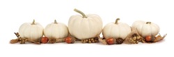 Autumn Border Arrangement Of White Pumpkins And Brown Leaves Isolated On A White Background