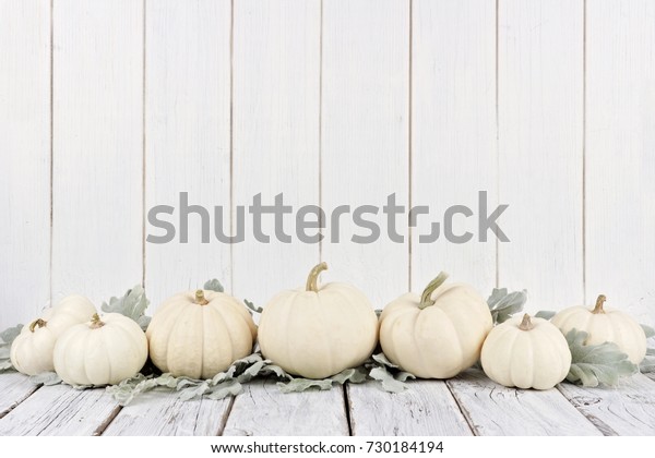 Autumn border arrangement of white\
pumpkins and silver leaves with a white wood\
background