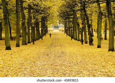 Autumn In Boston Public Garden