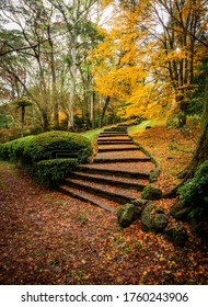 Autumn At Breenhold Gardens Mount Wilson