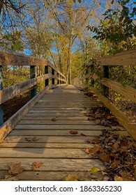 Autumn Bridge At Land Between The Lakes