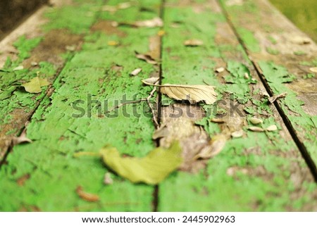Autumn bright backdrop with arch of trees and old wooden table of boards with cracked green paint and yellow fallen leaves on it. Shabby grunge wood panels. Fall season concept in park