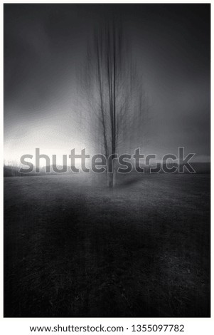 Similar – Image, Stock Photo be cold Environment Nature