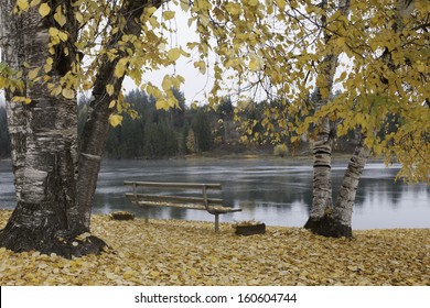 Autumn By Pend Oreille River.