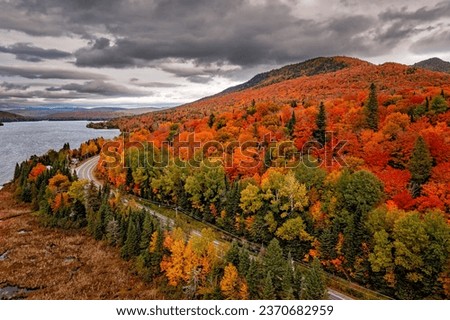 autumn, Canada, Red, orange, yellow, grey, tree, leaves, coleurs,  october, landscape, fields, forest, parcs