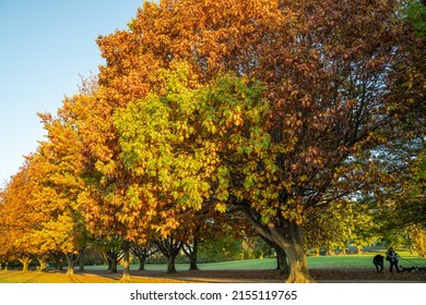 Autumn In Canberra, Lake Burley Griffin