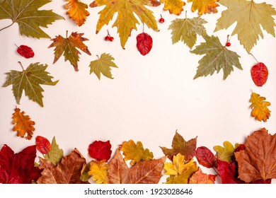 Autumn card of colored falling leafs isolated on white background.autumn leaves on a light background, autumn frame
