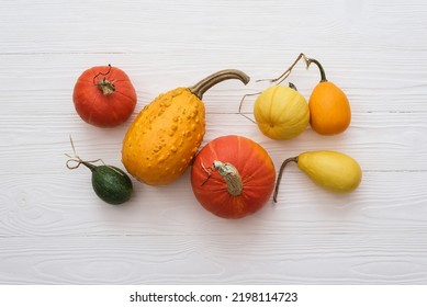 Autumn Card With A Harvest Of Winter Squash And Decorative Gourds On A White Wooden Background