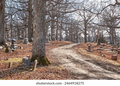 Autumn Cemetery Pathway with Bare Trees and Gravestones - Powered by Shutterstock