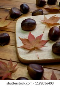 Autumn chestnut and maple leaves
 - Shutterstock ID 1192036408