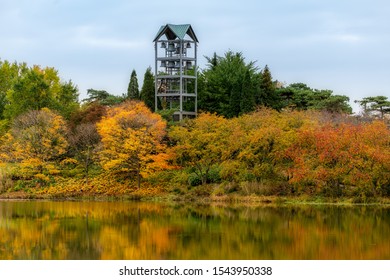 Autumn At Chicago Botanic Garden