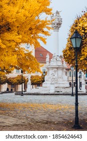 Autumn In The City Of Osijek