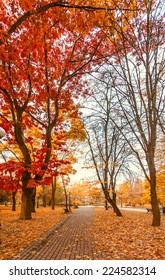 Autumn City Park