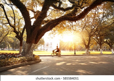 The Autumn City Park 