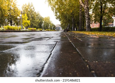 Autumn city park in September. Alley is covered with yellow leaves. Walk in nature after rain. - Shutterstock ID 2191486821