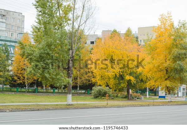 Autumn city. The trees\
have different color foliage. Autumn weather. Golden autumn. Square\
with trees