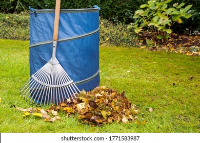 Herbstreinigung im kleinen Garten. Rake, blauer Sack und Blätter auf grünem Gras