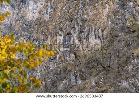 Autumn Cliff Face with Sparse Trees and Yellow Foliage in Foreground
