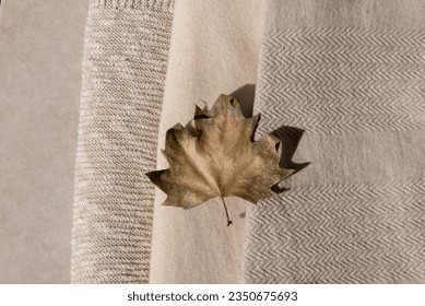Autumn clothes, wardrobe in neutral nude colors. Light brown dried fall leaf over beige, creamy and taupe knitted wool and cotton fabric texture background