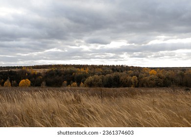 Autumn cloudy windy weather rural landscape with brown and orange meadow and forest. Sky with dark clouds.